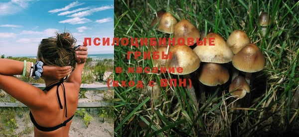 первитин Каменка