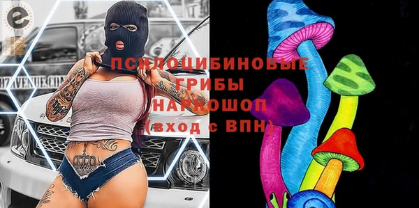 первитин Каменка