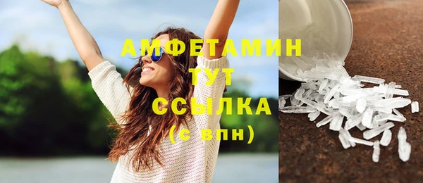 прущая мука Инсар