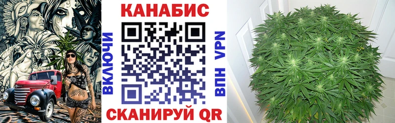 МАРИХУАНА планчик  Купить закладки  Истра 